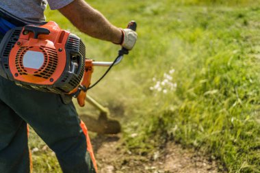 Güneşli bir bahar gününde bahçede çimleri budama makinesiyle budamak. Arka plan