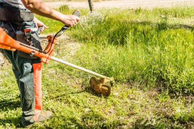 Güneşli bir bahar gününde bahçede çimleri budama makinesiyle budamak. Yan görünüm