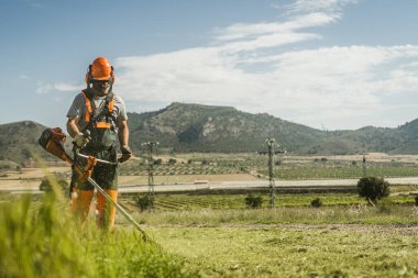 Güneşli bir bahar gününde, açık havada bir budama makinesiyle çim biçen genç bir adamın alçak görüşü. Çimlerin çalıların arasından süzülmesi harika bir detay.