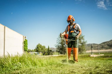 Güneşli bir bahar gününde, açık havada bir budama makinesiyle çim biçen genç bir adamın alçak görüşü. Çimlerin çalıların arasından süzülmesi harika bir detay