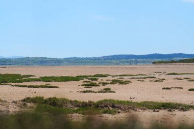 Alyki tuzlu gölü kuru ve çatlamış toprağı, seyrek bitki örtüsü ve uzak tepelerle gösteriyor.
