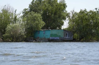 Romanya 'yı gezin. Tulcea sulina danube delta delta Karadeniz kıyısında. Suyun kenarında, Tuna deltasındaki yeşil ağaçlarla çevrili küçük ev.