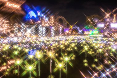 Ashikaga Çiçek Parkı Kış Aydınlatmaları