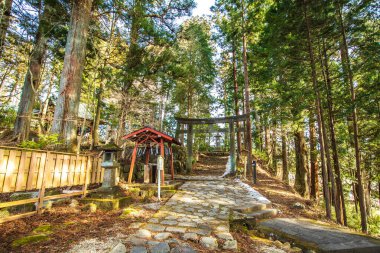 Nikko Toshogu Tapınağı 'nın Nikko Şehri, Tochigi Bölgesi