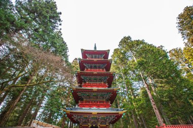 Nikko Toshogu Tapınağı 'nın Nikko Şehri, Tochigi Bölgesi