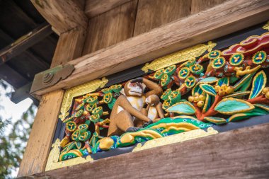 Nikko Toshogu Tapınağı 'nın Nikko Şehri, Tochigi Bölgesi