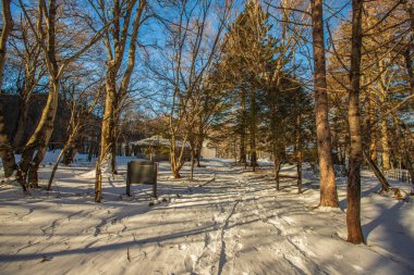Oku-Nikko, Tochigi Bölgesi 'nde kış manzarası