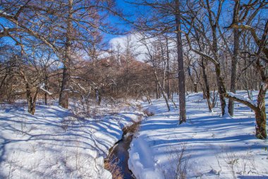 Tochigi 'nin Oku-Nikko şehrinde Senjogahara kış manzarası