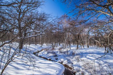 Tochigi 'nin Oku-Nikko şehrinde Senjogahara kış manzarası