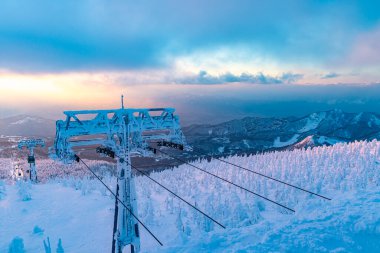 Yamagata bölgesindeki Zao 'da buzla kaplı ağaçlar.