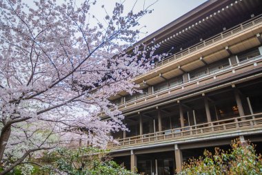Kanagawa, Yokohama 'daki Sojiji Tapınağı' nın bahar manzarası.