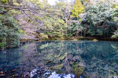 Mie ilindeki Ise Jingu Manastırı Manzarası