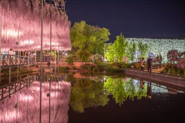 Tochigi İlçesindeki Ashikaga Çiçek Parkı Manzarası