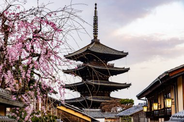 Kyoto: Beş katlı tapınak ve kiraz çiçekleri