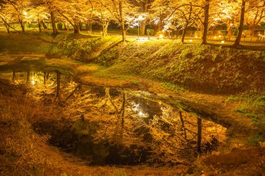 Fukushima Bölgesindeki Tsuruga Kalesinin Aydınlanması
