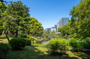 Tokyo 'daki Hibiya Park Manzarası