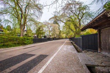 Akita Bölgesindeki Kakunodate Samuray Konutları Kiraz Çiçeği Manzarası