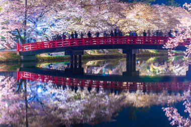 Aomori Bölgesi Hirosaki Şatosu Kiraz Çiçeği Festivali Aydınlatma