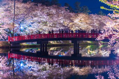 Aomori Bölgesi Hirosaki Şatosu Kiraz Çiçeği Festivali Aydınlatma