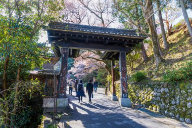 Nara 'daki Yoshino Dağı kiraz çiçeği manzarası.