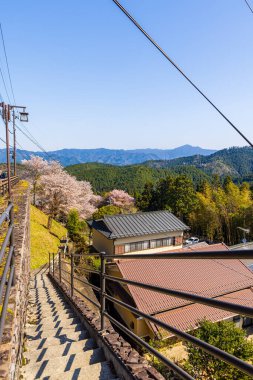Nara 'daki Yoshino Dağı kiraz çiçeği manzarası.