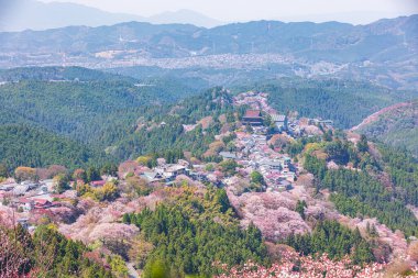 Nara 'daki Yoshino Dağı kiraz çiçeği manzarası.