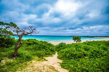 Miyakojima Toguchi Plaj Manzarası