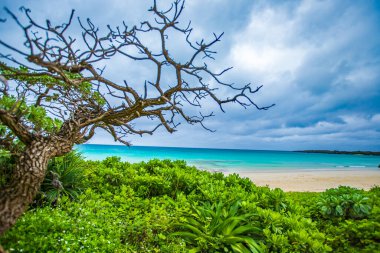 Miyakojima Toguchi Plaj Manzarası