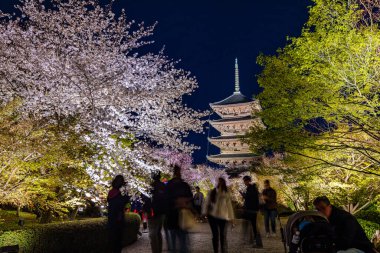 Kyoto 'daki Toji Tapınağı' nda kiraz çiçeği manzarası.