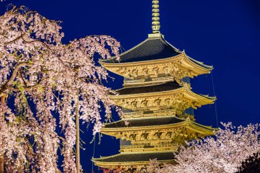 Kyoto 'daki Toji Tapınağı' nda kiraz çiçeği manzarası.