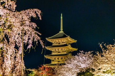 Kyoto 'daki Toji Tapınağı' nda kiraz çiçeği manzarası.
