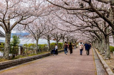 Kyoto ilindeki Nanatani Nehri boyunca sessiz bir yol.