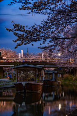 Fushimi Jikkokubune 'nin kiraz çiçeği manzarası