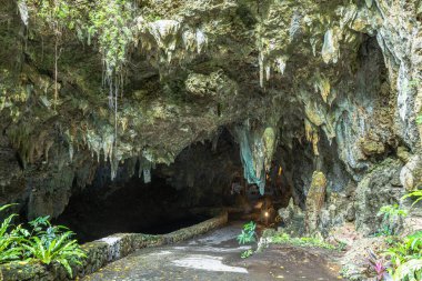 Sabichi Mağarası, Ishigaki Adası, Okinawa