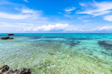 Kabira Tabaga Sahnesi, Ishigaki Adası, Okinawa Bölgesi