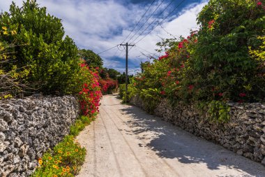 Taketomi Adası, Okinawa Bölgesi