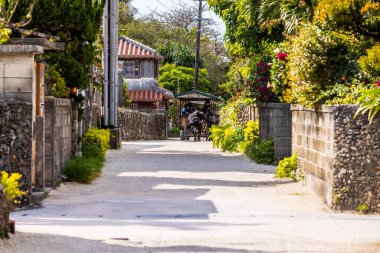 Taketomi Adası, Okinawa Bölgesi