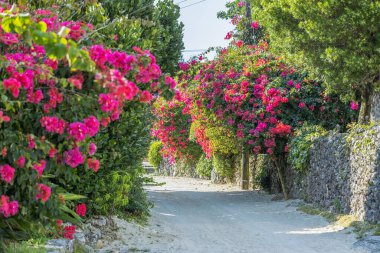 Taketomi Adası, Okinawa Bölgesi