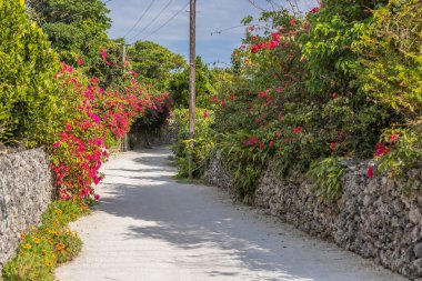 Taketomi Adası, Okinawa Bölgesi