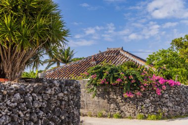 Taketomi Adası, Okinawa Bölgesi