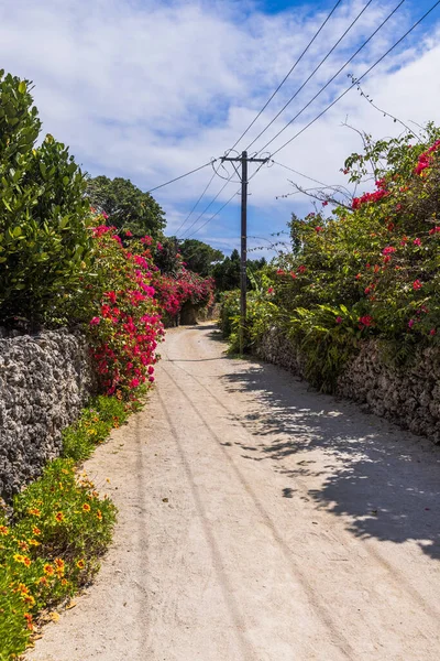 Taketomi Adası, Okinawa Bölgesi