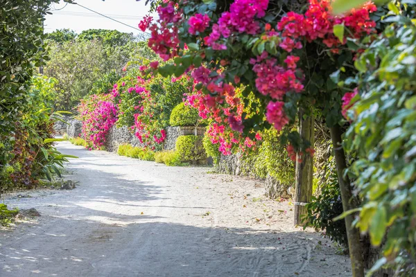Taketomi Adası, Okinawa Bölgesi