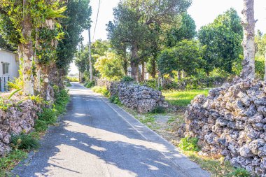 Okinawa 'daki Hateruma Adası Manzarası