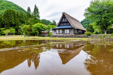 Gokayama - Suganuma Köyü Sahnesi