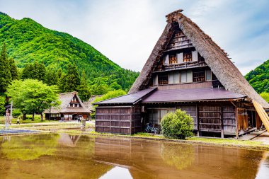 Gokayama - Suganuma Köyü Sahnesi