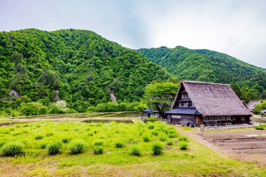 Gokayama - Suganuma Köyü Sahnesi