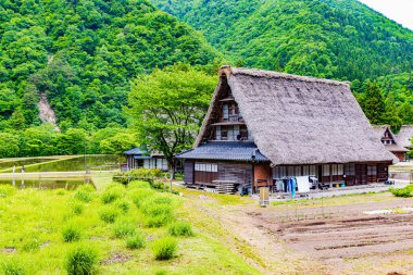 Gokayama - Suganuma Köyü Sahnesi