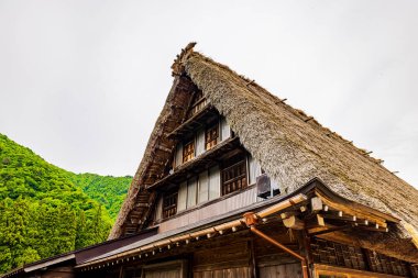 Gokayama - Suganuma Köyü Sahnesi