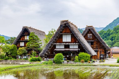 Shirakawa-go Manzarası, Gifu Bölgesi