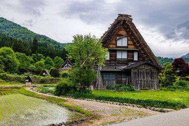 Shirakawa-go Manzarası, Gifu Bölgesi